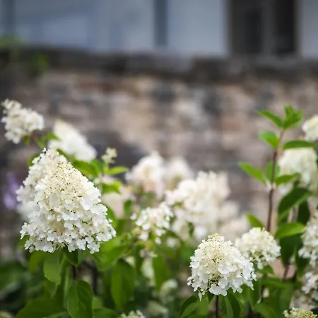 Wohnen Auf Privater Reitanlage Διαμέρισμα