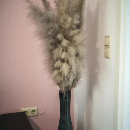 Wohnen Auf Privater Reitanlage * Münsingen